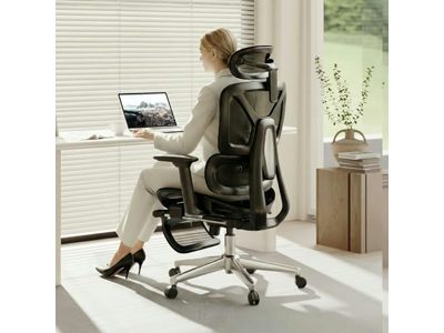 FlexiSpot ErgoX Office Chair